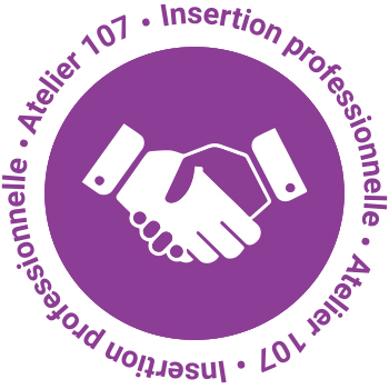 Insertion-professionnelle-Genève